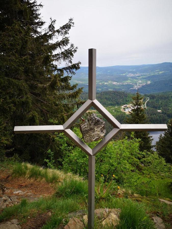 Idyllisch Gelegene Ferienwohnung Im Herzen Des Bayerischen Waldes Zachenberg Екстер'єр фото